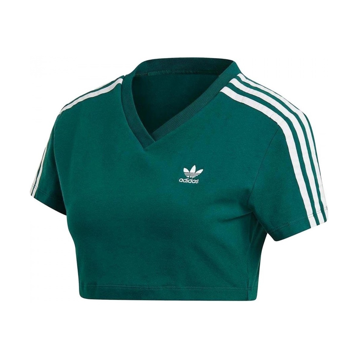 Vêtements Femme T-shirts & Polos adidas Originals Cropped Tee Vert