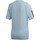 Vêtements Femme T-shirts & Polos adidas Originals W Mh 3S T-Shirt Bleu