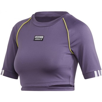 Vêtements Femme T-shirts & Polos adidas Originals Cropped Tee Violet