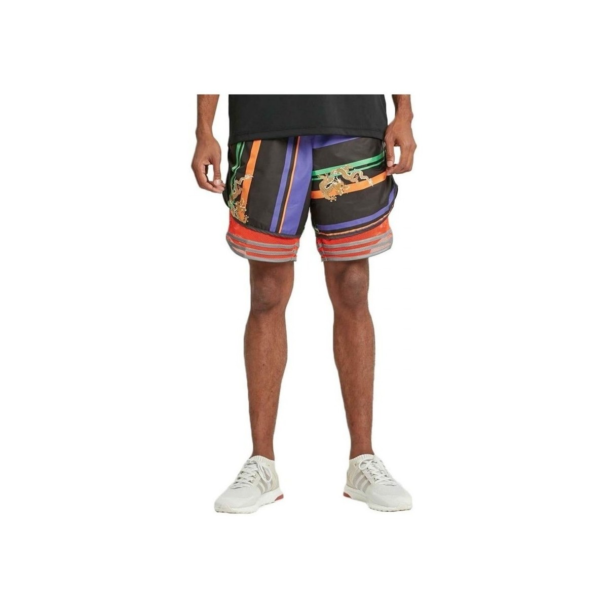 Vêtements Homme Shorts / Bermudas adidas Originals Aop Shorts Multicolore