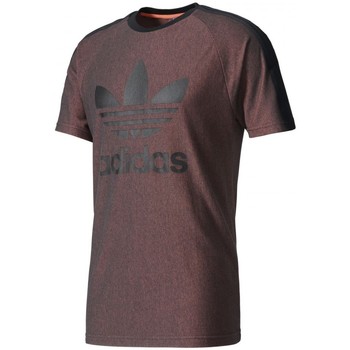 Vêtements Homme T-shirts & Polos adidas Originals Berlin French Terry Tee Marron