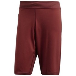 Vêtements Homme Shorts / Bermudas adidas Originals 4Krft Primeknit Rouge