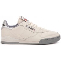 Chaussures Homme Baskets basses reebok Shirt Sport Phase 1 84 Archive Violet
