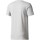 Vêtements Homme T-shirts & Polos adidas Originals Pdx Classic Tee Gris