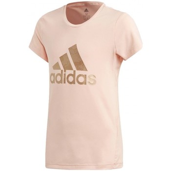 Vêtements Fille T-shirts manches courtes adidas Originals Yg Tr Hld Tee Rose
