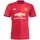 Vêtements Homme T-shirts & Polos adidas Originals Manchester United Fc Replica Domicile Rouge