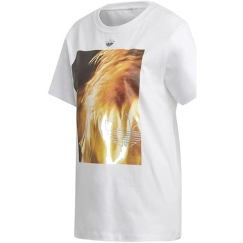 Vêtements Femme T-shirts & Polos adidas Originals Graphic T Shirt Blanc
