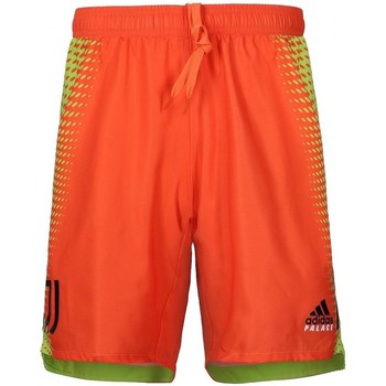 Vêtements Homme Shorts / Bermudas adidas Originals x Palace Juventus GK Shorts Multicolore