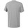 Vêtements Homme T-shirts & Polos Reebok Sport Workout Ready Supremium Graphic Gris