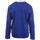 Vêtements Garçon Sweats adidas Originals EY2492 Bleu