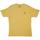 Vêtements Homme Débardeurs / T-shirts sans manche Iron And Resin MADE IN THE WEST TEE GOLD Jaune