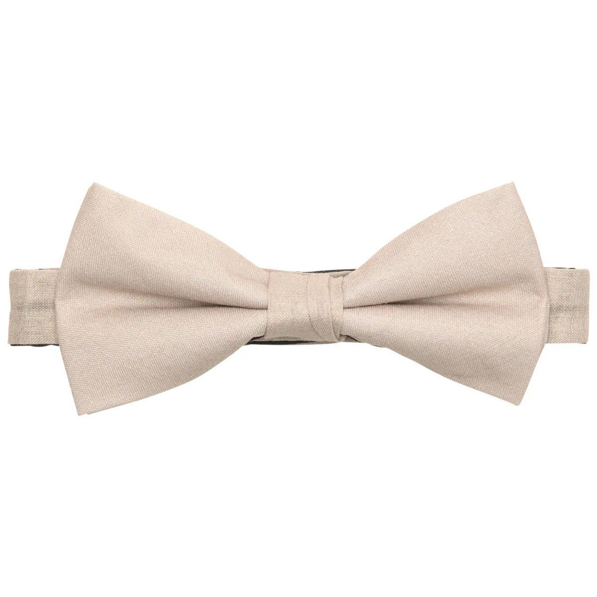 Vêtements Homme Cravates et accessoires Premium By Taies doreillers / traversins 145138VTPE23 Beige