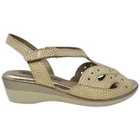 Chaussures Femme Baskets mode Pitillos CHAUSSURES  1313 OR