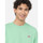 Vêtements Homme x Tim Burton Eternal Love sweatshirt Dickies Ss mapleton t-shirt Vert