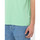 Vêtements Homme T-shirts & Polos Dickies Ss mapleton t-shirt Vert
