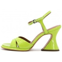 Chaussures Femme Sandales et Nu-pieds Vicenza SANDALI VERDE Vert