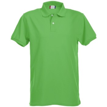 Vêtements Homme T-shirts & Polos C-Clique Premium Vert
