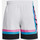 Vêtements Shorts / Bermudas Under Armour Short de bain  Bas Multicolore