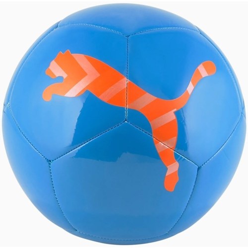 Accessoires Ballons de sport Puma Icon Ball Bleu