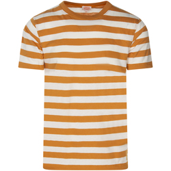 Vêtements Homme T-shirts manches courtes Armor Lux T-shirt coton et lin col rond Orange