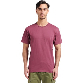 Vêtements T-shirts manches courtes Colorful Standard T-shirt  Classic Organic Dusty Plum