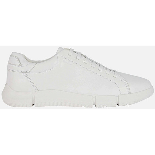 Chaussures Homme Baskets mode Geox U ADACTER Blanc