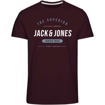 Vêtements Garçon T-shirts manches courtes Jack & Jones CAMISETA ROJA NIO JACK & JONES 12190364 Rouge