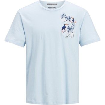 Vêtements Garçon T-shirts manches courtes Jack & Jones CAMISETA AZUL NIO JACK & JONES 12189316 Bleu
