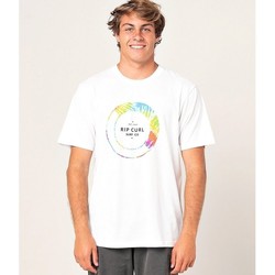 Vêtements Homme T-shirts manches courtes Rip Curl CAMISETA  FILTER CTESW5 Blanc