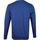 Vêtements Homme Sweats Colorful Standard Pull Organic Bleu Bleu