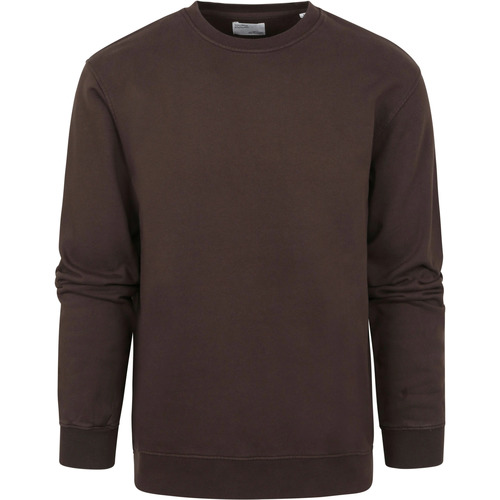 Vêtements Homme Sweats Colorful Standard Pull standard coloré brun café Marron