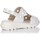 Chaussures Femme Sandales et Nu-pieds Fluchos BASKETS  F1657 Blanc