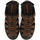 Chaussures Homme Tongs Gioseppo PONTIANAC Marron