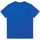 Vêtements Enfant T-shirts & Polos Diesel J001132 00YI9 TDIEGORIND-K80H Bleu
