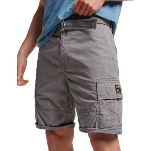 Vêtements Homme Shorts / Bermudas Superdry Short cargo  Heavy Gris