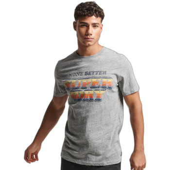 Vêtements Homme T-shirts manches courtes Superdry T-shirt classique  Vintage Cooper Gris