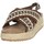 Chaussures Femme Sandales et Nu-pieds Wrangler WL31571A Marron