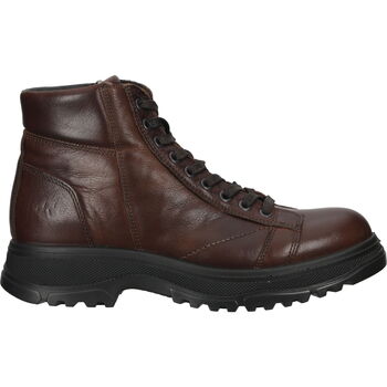 Chaussures Homme Boots IgI&CO 26061 Bottines Marron