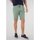 Vêtements Homme Shorts / Bermudas Deeluxe Short CLOUD Vert