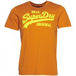 Vêtements Homme T-shirts & Polos Superdry Vintage vl neon Marron