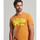 Vêtements Homme T-shirts & Polos Superdry Vintage vl neon Marron