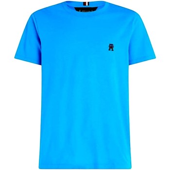 Vêtements Homme T-shirts manches courtes Tommy Hilfiger MW0MW30054 Bleu