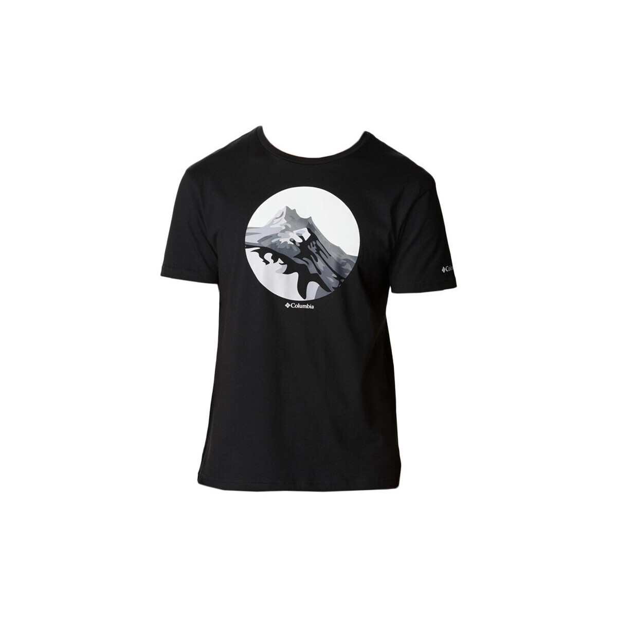 Vêtements Homme T-shirts & Polos Columbia GRAPHIC PATH LAKE II Noir