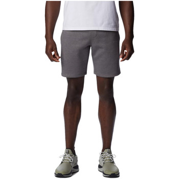 Vêtements Homme Shorts / Bermudas Columbia Short  CSC Gris