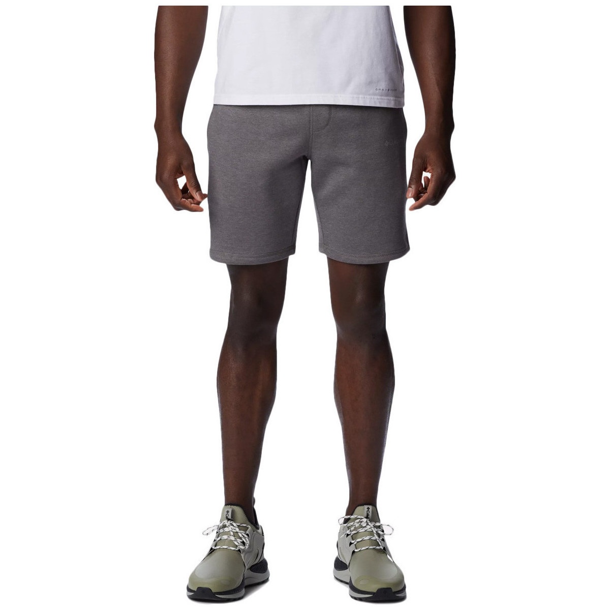 Vêtements Homme Shorts / Bermudas Columbia CSC BASIC LOGO Gris