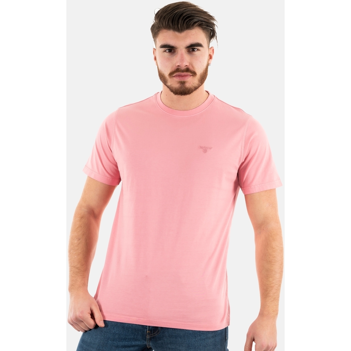 Vêtements Homme T-shirts manches courtes Barbour mts0994 Rose