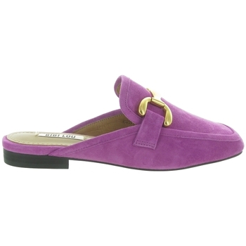 Chaussures Femme Sandales et Nu-pieds Bibi Lou 570Z30 Violet