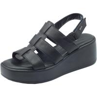 Chaussures Femme Sandales et Nu-pieds IgI&CO 3687200 Vitello Noir