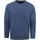 Vêtements Homme Sweats Petrol Industries youth Sweater Logo Bleu Bleu