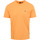 Vêtements Homme embroidered Ami de Coeur shirt Napapijri T-shirt Salis Orange Orange